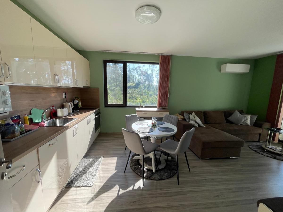 Nikol Deluxe Apartment Velingrad Luaran gambar